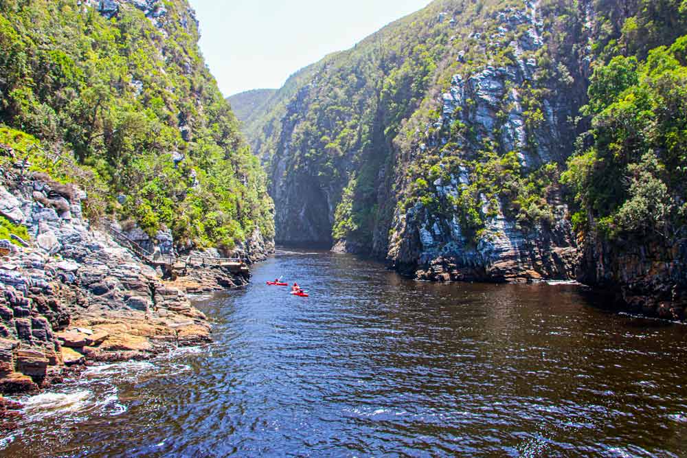 Southern Cape Family Road Trip cover