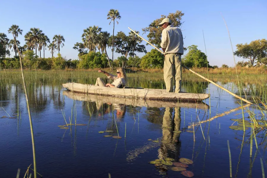 Traditional mokoro canoe being poled through the lily-covered waterways of the Okavango Delta, Botswana