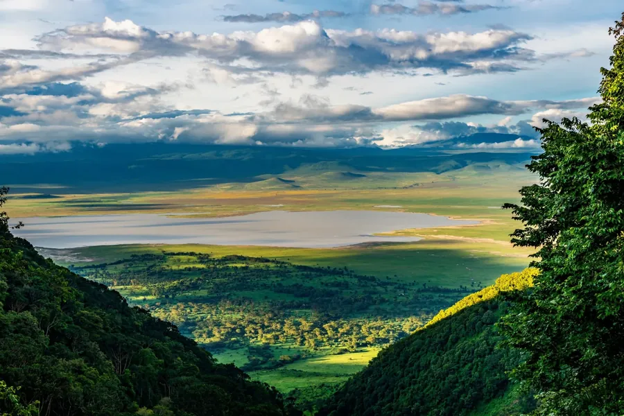 View from the forested rim down into the Ngorongoro Crater with its soda lake and green caldera floor