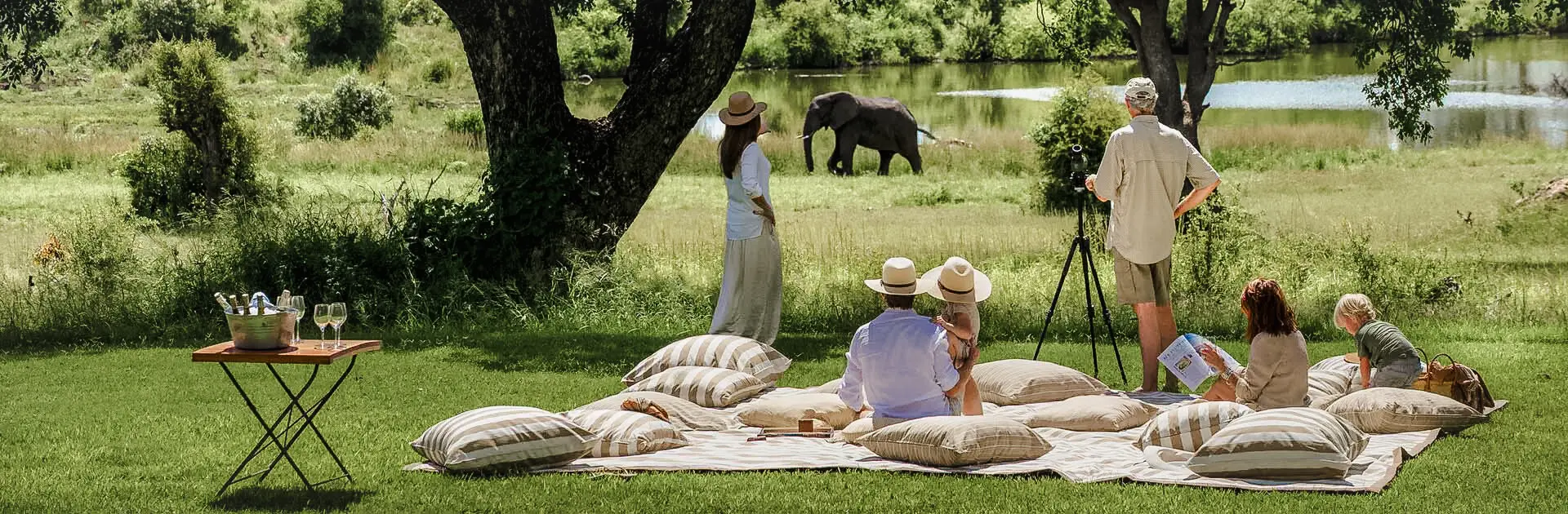 Family enjoying a bush picnic with elephant grazing across the river
