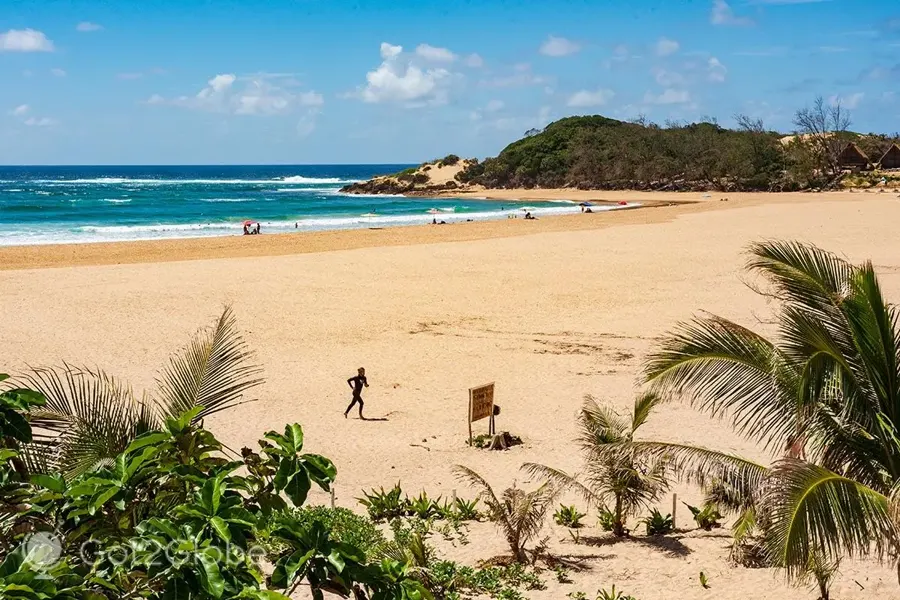 Snorkeller walking along the wide golden sand of Tofo Beach near Inhambane, with surf breaking on the reef and palms in the foreground