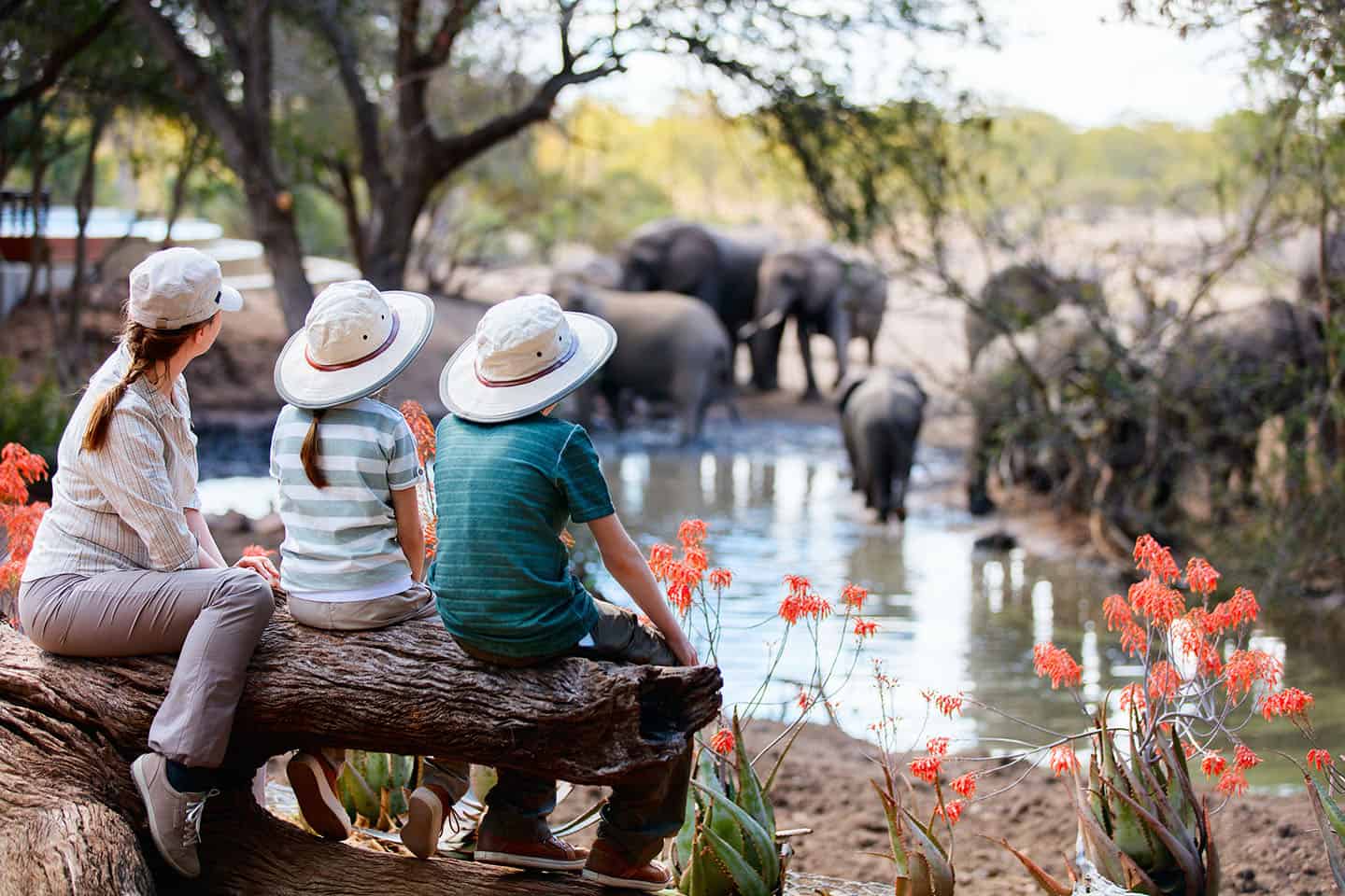 A mother and two children sitting on a log watching elephants at a waterhole