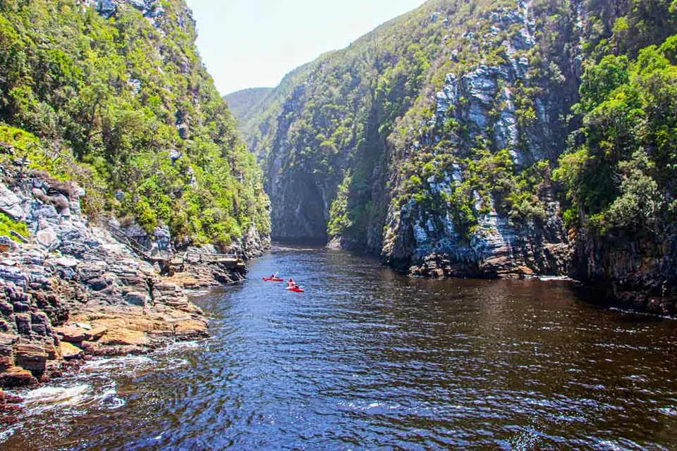 Family kayaking along the Southern Cape coastline in South Africa