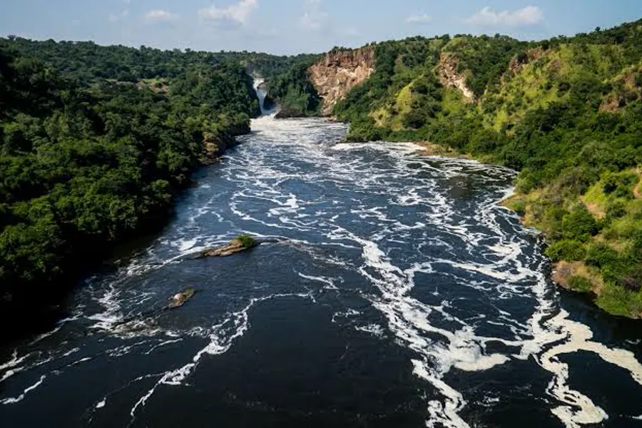 Aerial view of the White Nile rushing through a forested gorge near the source of the Nile at Jinja, Uganda