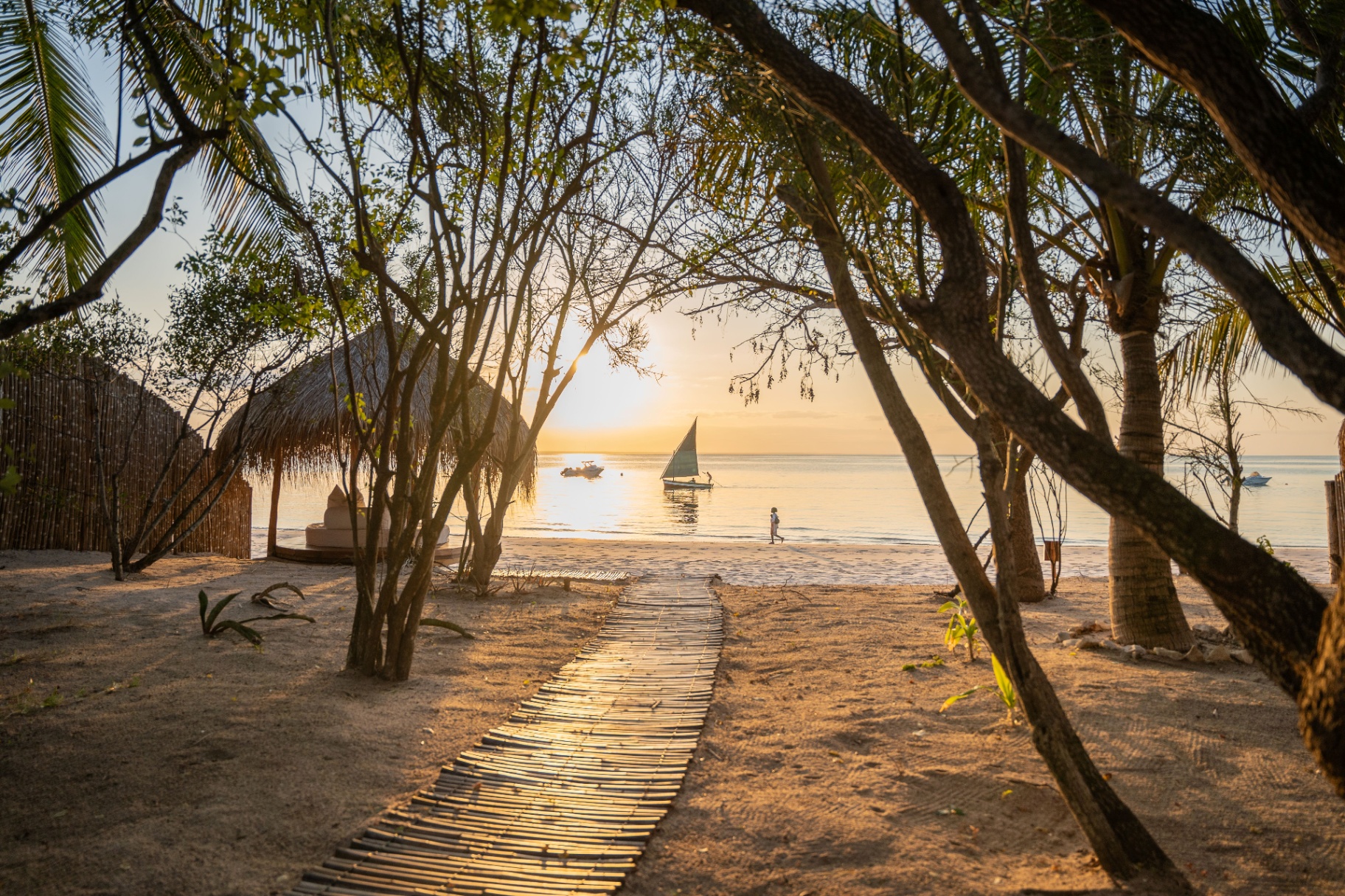 Big Five to Island Escape cover