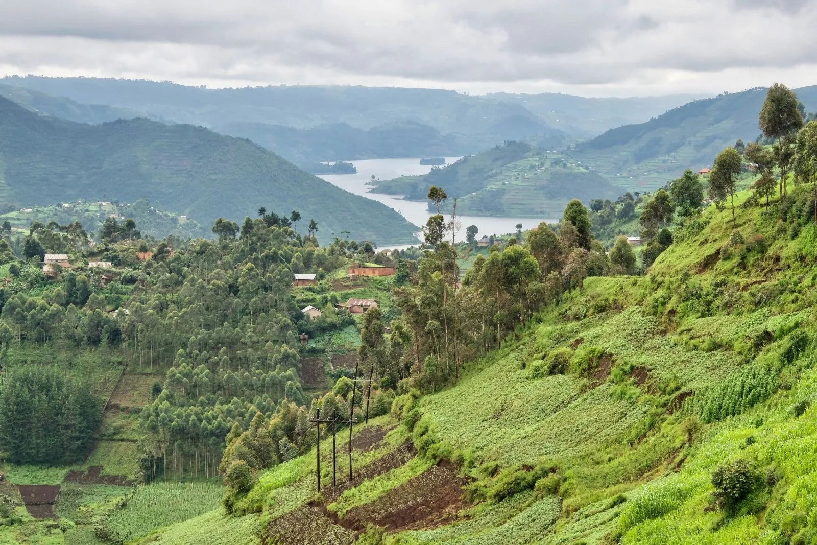 Dugout canoes on the still water of Lake Bunyonyi surrounded by green hills in Uganda