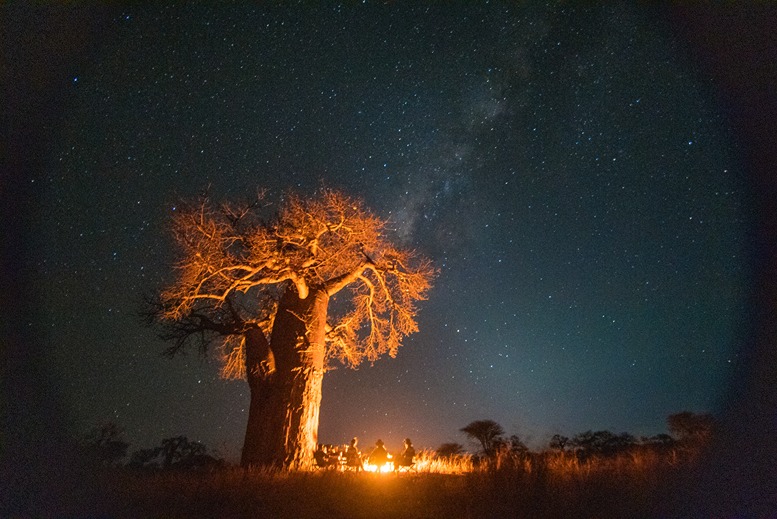 An immersive adventure in Northern Tanzania cover
