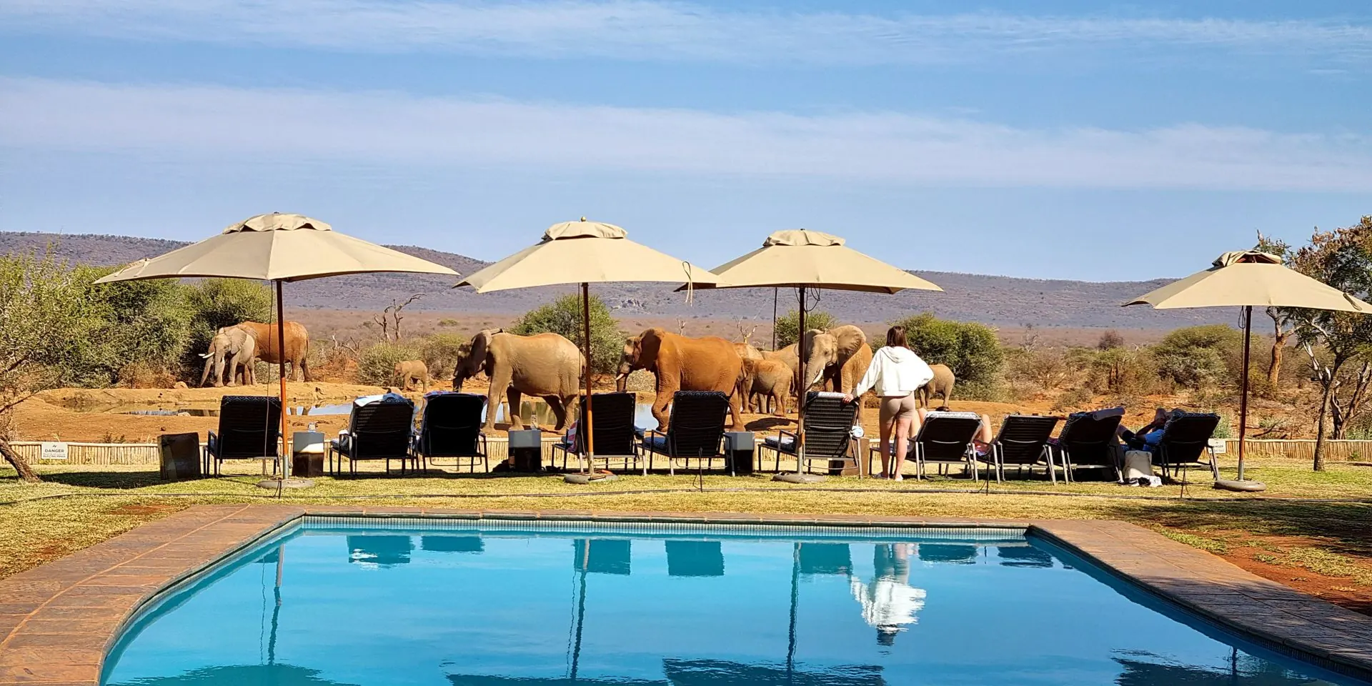 Guests watching elephants at a waterhole from a safari lodge pool