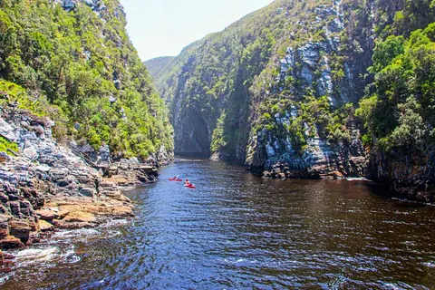 Southern Cape Family Road Trip cover