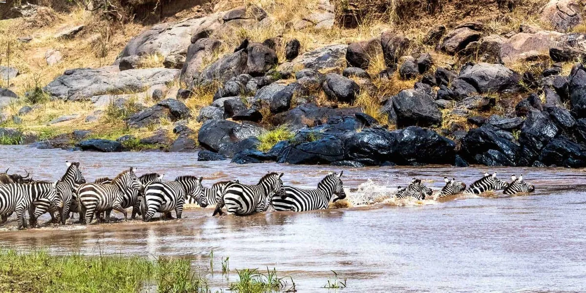 Kenya — The Masai Mara, culture and the Swahili coast