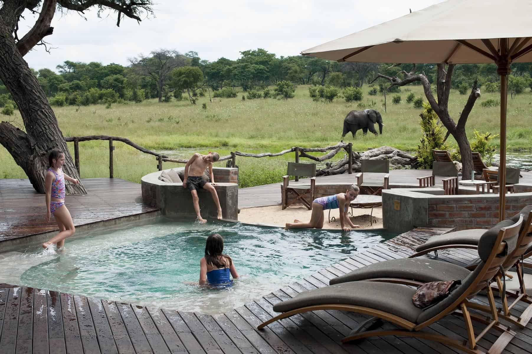 Children swimming in a Hwange safari camp pool with an elephant grazing across the waterhole, Zimbabwe